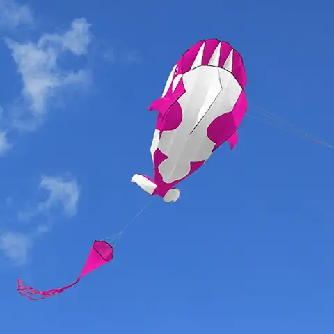Doorslay Kite 3D, 120 x 215 cm, Gigante sin Marco, Suave, Dragón de Ballena Gigante para Playa, Parque, Jardín, Familia Juguetes al aire Libre  