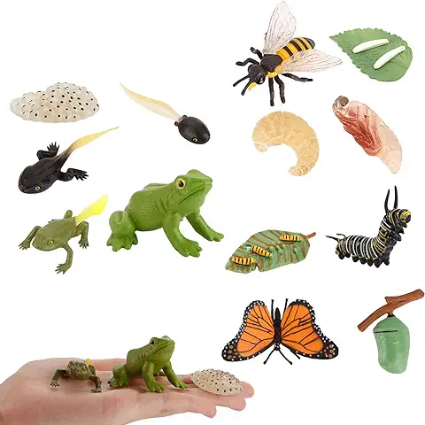 JOKFEICE 13 Piezas de Juguetes para Insectos Ciclo de vida de Mariposa, Modelo de Acción de Abeja y Rana, Proyecto de Ciencia, Regalo de Cumpleaños de Navidad para Niños  