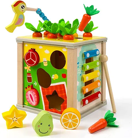 Juguetes Montessori 2 3 4 Años | 6 en 1 Juguete Educativo Juguete para Recoger Zanahorias | Pájaro Carpintero Gusanos Laberinto | Cubo de Habilidades Motoras de Madera Regalo Cumpleaños Navidad  