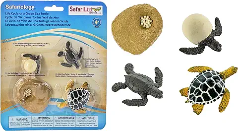 Safari Ltd.-El Ciclo de Vida de una Tortuga Marina Verde Animales Contiene 4 Figuras de Juguete - No Tóxico y Libre de BPA - Apto para Niños de 3+, Multicolor, 43.9 cms (662316)  